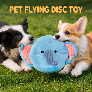 Pet flying disc toy with English title