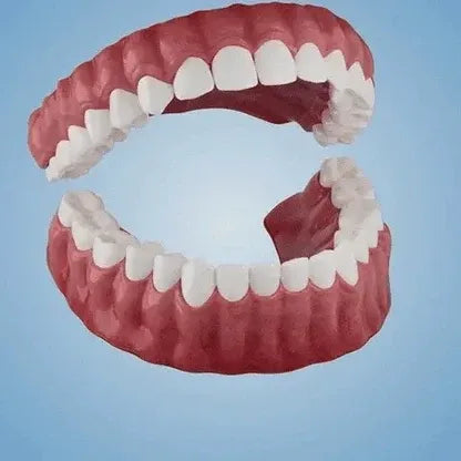 Novyado Custom-Fit Full Denture Set — source gallery 2