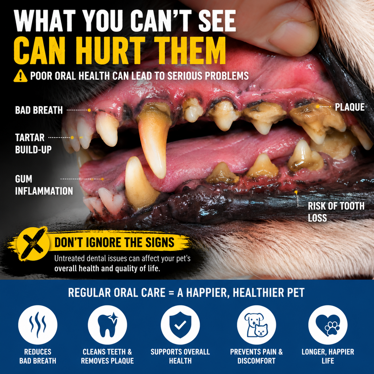 Novyado Daily Dental Care Tablets — source gallery 2