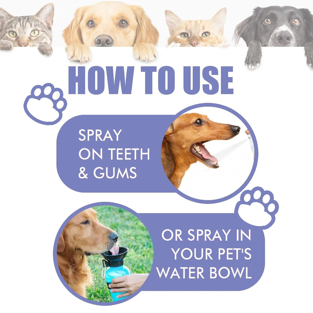 Novyado Pet Oral Care Spray — source gallery 3