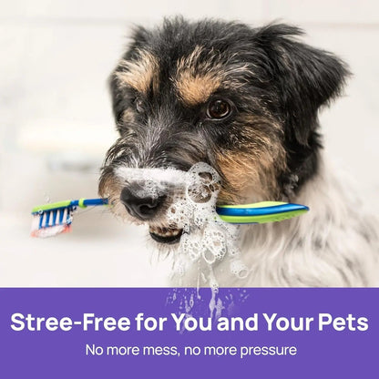Novyado Pet Oral Care Spray — source gallery 5